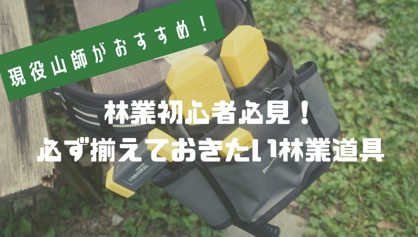 林業入門】木こり歴8年の夫が厳選！山仕事に必須のおすすめ道具はこれ