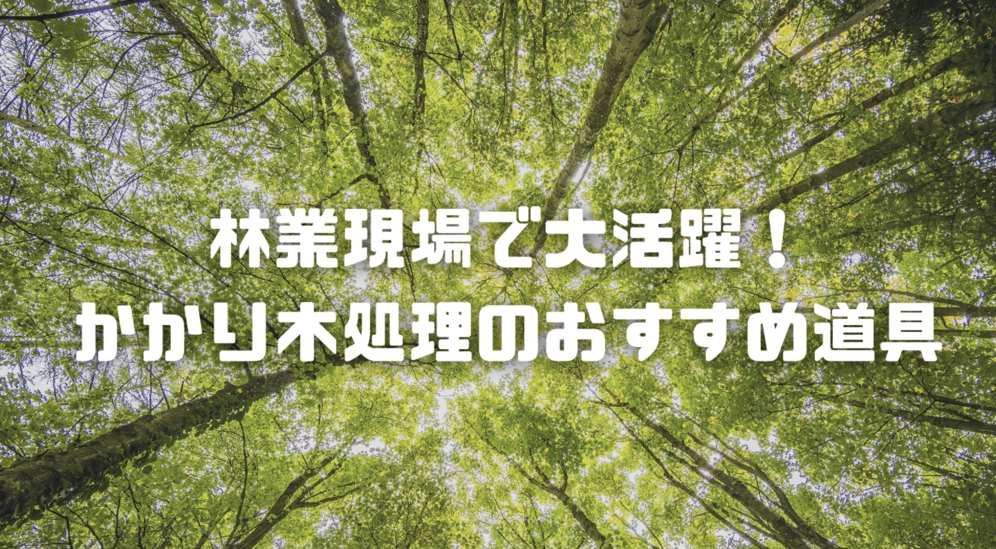 かかり木処理の道具のおすすめ5選。林業歴8年目の愛用品はこれだ